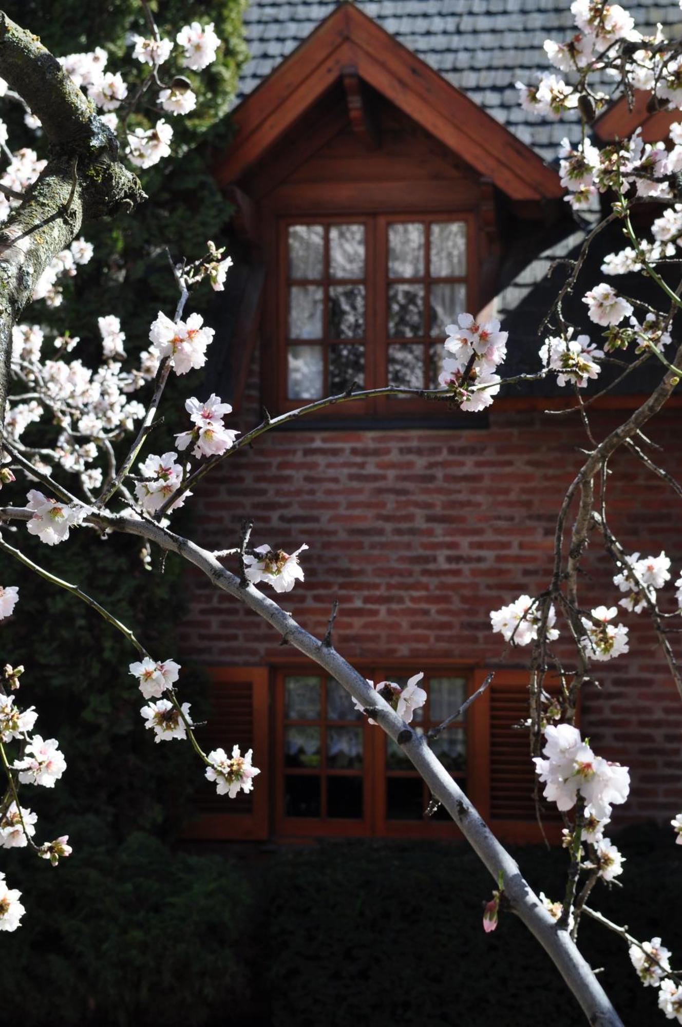 Apart Hotel La Bora San Martín de los Andes Zewnętrze zdjęcie